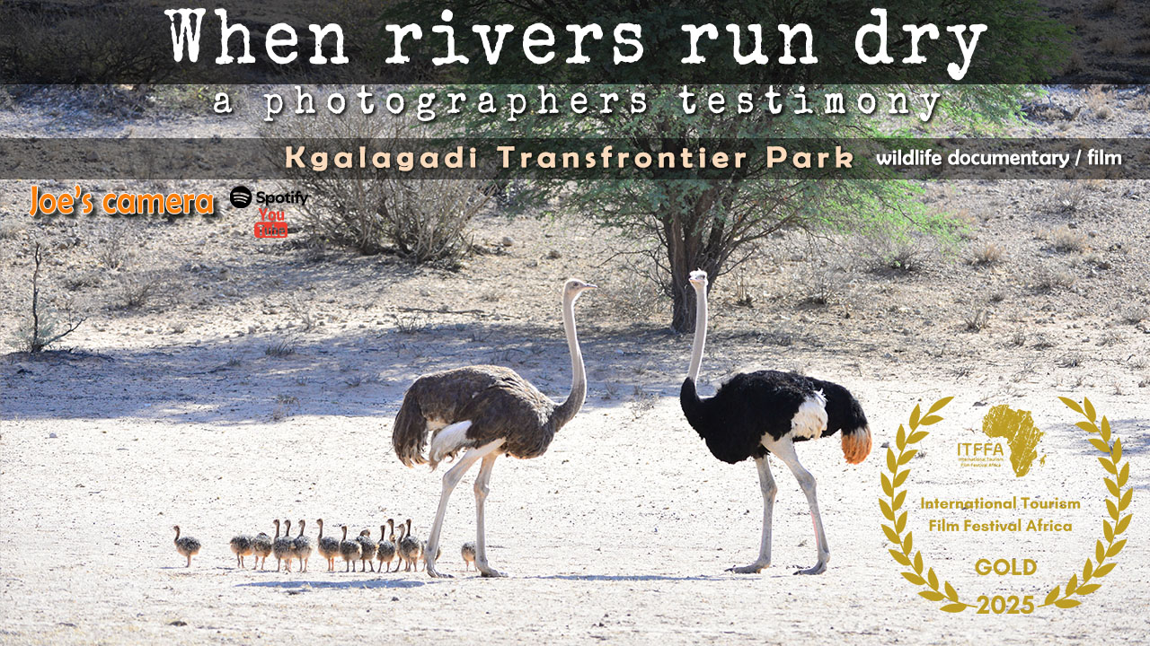 when rivers run dry film thumbnail